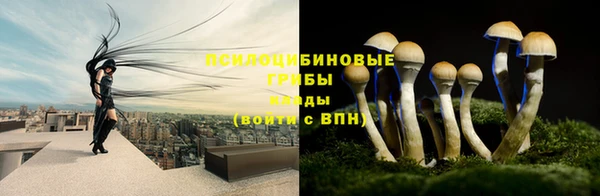 ПСИЛОЦИБИНОВЫЕ ГРИБЫ Богородицк
