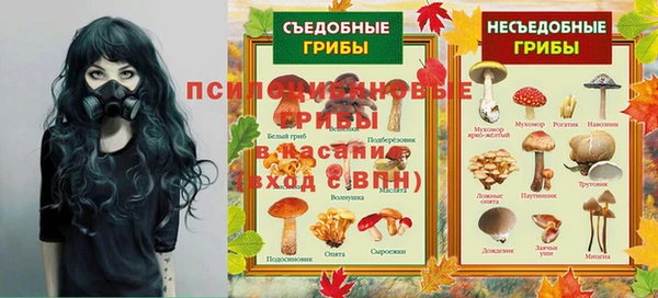 хмурый Богородск