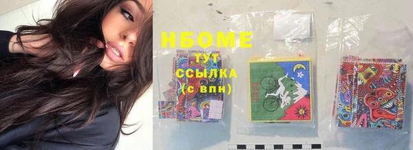 ECSTASY Бородино