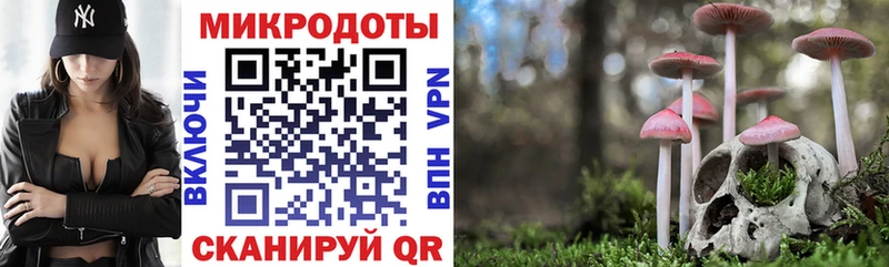 Галлюциногенные грибы Magic Shrooms Верхняя Пышма