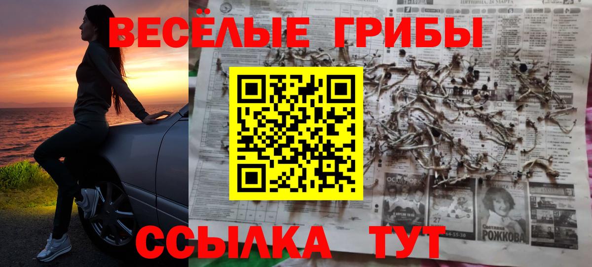 Псилоцибиновые грибы мицелий Верхняя Пышма
