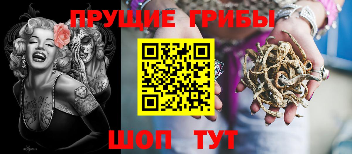 Псилоцибиновые грибы мицелий Верхняя Пышма