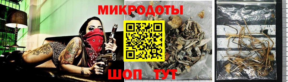 Псилоцибиновые грибы Magic Shrooms  Галлюциногенные грибы мухоморы  Верхняя Пышма  Вход с VPN 