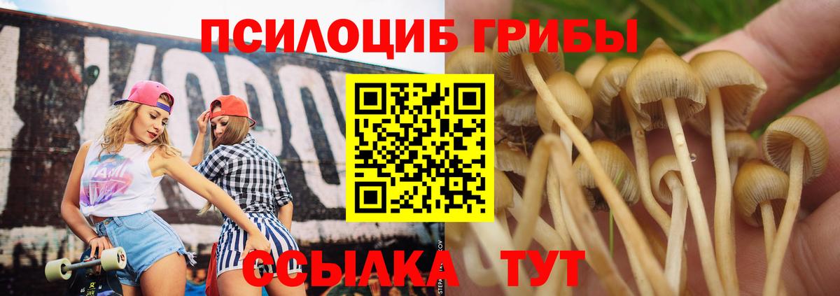 Галлюциногенные грибы MAGIC MUSHROOMS  Псилоцибиновые грибы мицелий  Верхняя Пышма 